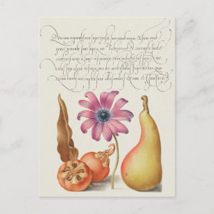 Vintage botanische Illustration Postkarte