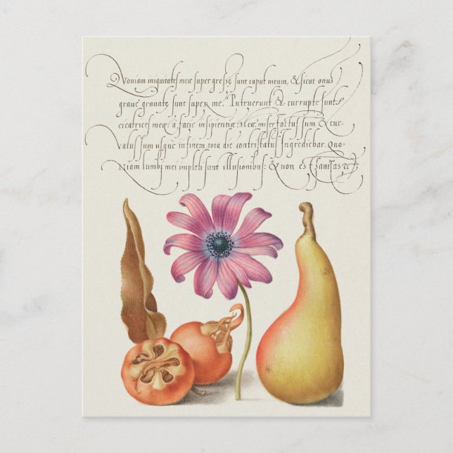 Vintage botanische Illustration Postkarte (Vorderseite)