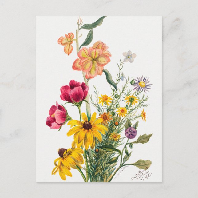 Vintage botanische Illustration Postkarte (Vorderseite)