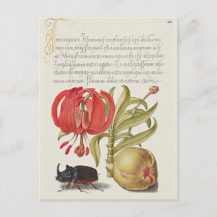 Vintage botanische Illustration Postkarte