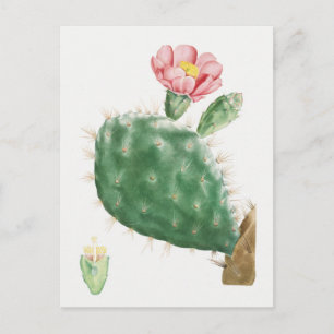 Vintage botanische Illustration Postkarte
