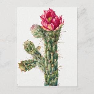 Vintage botanische Illustration Postkarte