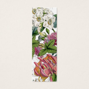 Vintage botanische Illustrationen