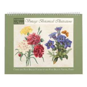 Vintage Botanische Illustrationen 2027 Kalender