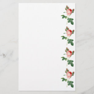 Vintage botanische Illustrationsgrenze der rosa Briefpapier