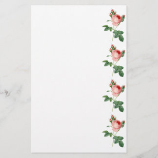 Vintage botanische Illustrationsgrenze der rosa Briefpapier