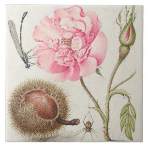 Vintage botanische Keramik Fliese