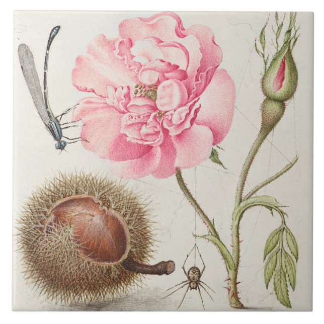 Vintage botanische Keramik Fliese (Vorderseite)