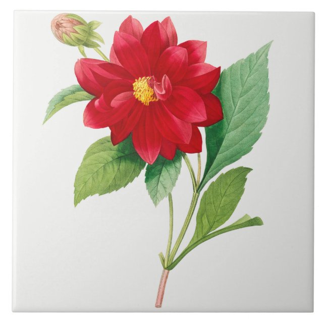 Vintage botanische Keramik Fliese (Vorderseite)