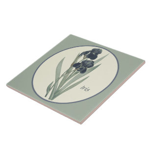 Vintage botanische Kunst Iris Blüten Cameo Fliese