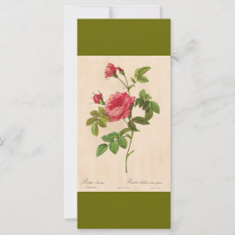 Vintage botanische Kunst Rosa Blume Lesezeichen
