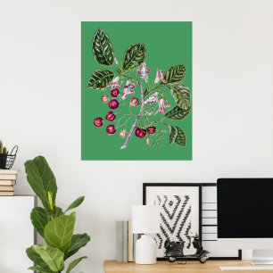 Vintage Botanische Kunst von Sarah Featon Puriri Poster