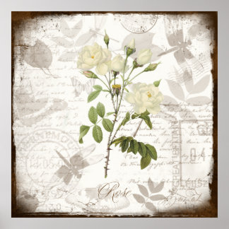 Vintage botanische Kunstdrucke ~ Englische Rose Poster