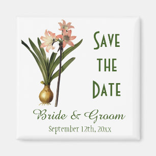 Vintage botanische Kunstrosa Lilie Save the Date Magnet