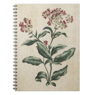 Vintage botanische Laurestina-Illustration Notizblock