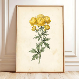 Vintage Botanische Leinwand-Kunstwanddrucke Poster