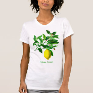 Vintage botanische Lemonenausdruck T-Shirt