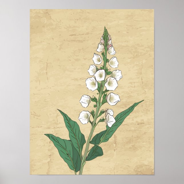 Vintage botanische Linie zeichnend Wandkunstplakat Poster (Vorne)