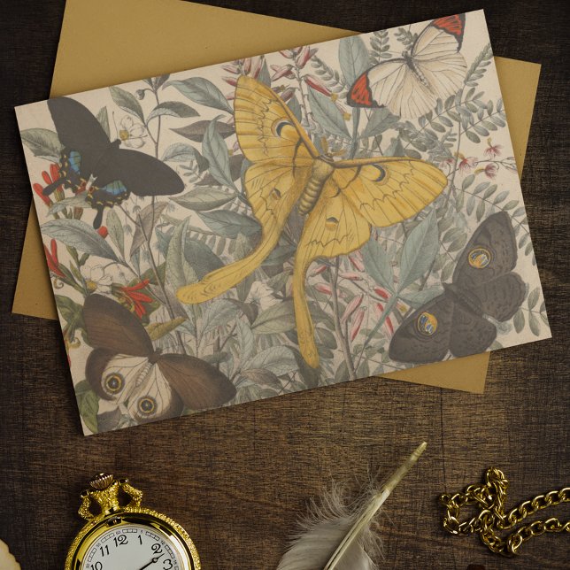 Vintage botanische Luna Moth Butterfly Decoupage Seidenpapier (Von Creator hochgeladen)