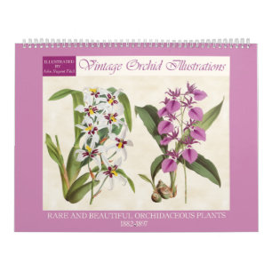 Vintage botanische Orchideen-Illustrationen 2026 Kalender