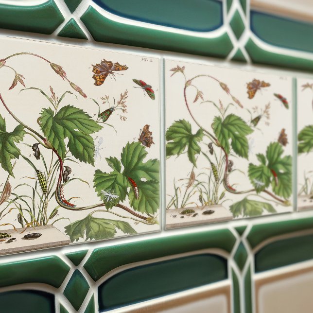 Vintage botanische Pflanze und Insektenatlas Fliese (Von Creator hochgeladen)