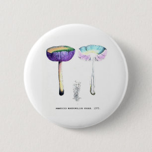 Vintage botanische Pilze Button