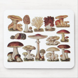 Vintage botanische Pilze Mousepad