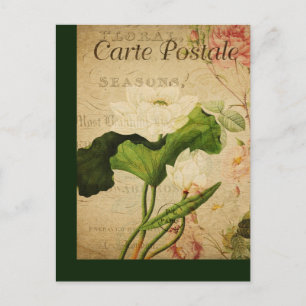 Vintage Botanische Postkarte Lotus