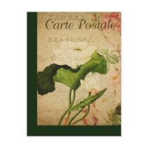 Vintage Botanische Postkarte Lotus