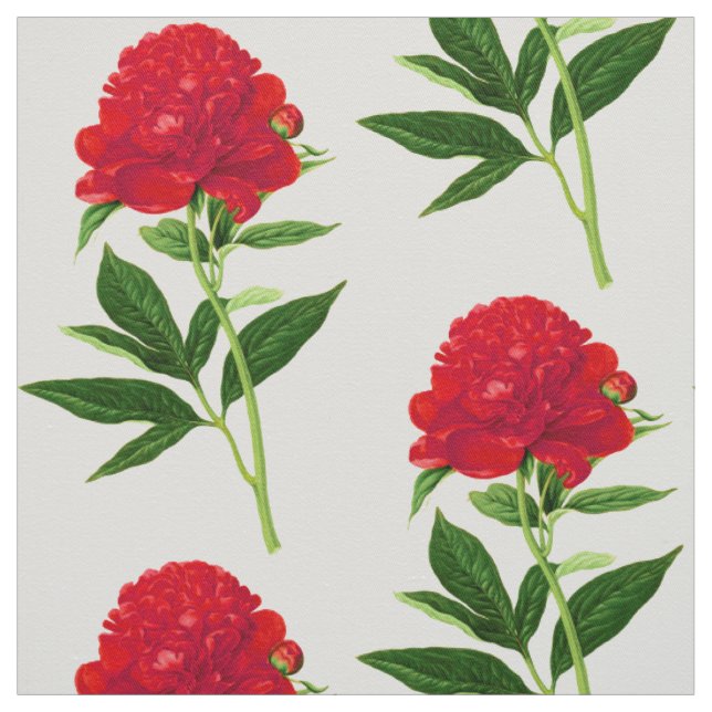 Vintage botanische Printwerbung, große rote Peeste Stoff (Muster)