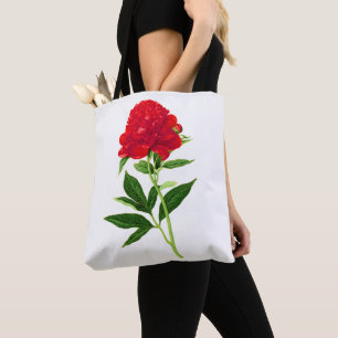 Vintage botanische Printwerbung, tiefe rote Peonie