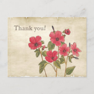 Vintage Botanische Rosa Wildblumen Danke Postkarte