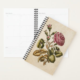 Vintage botanische Rose Planer