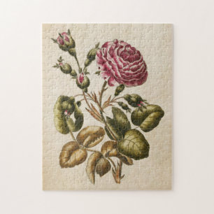 Vintage botanische Rose Puzzle