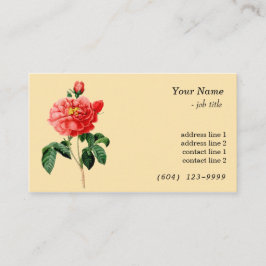 Vintage botanische rote Rose Blume gelb Visitenkarte