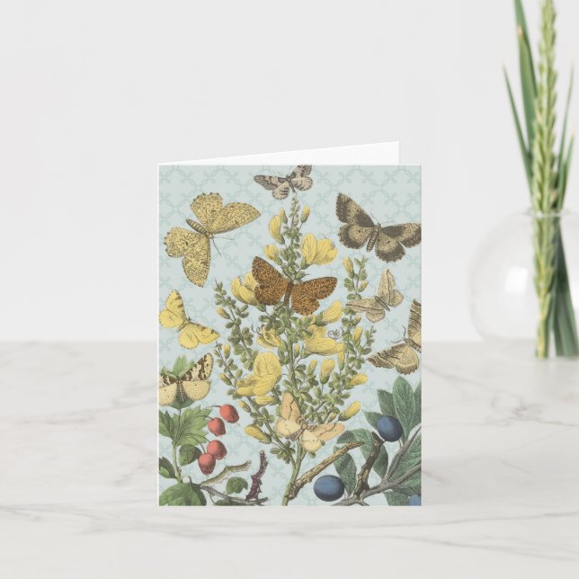 Vintage Botanische Schmetterlinge...notecard Karte (Vorderseite)