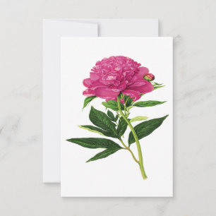 Vintage Botanische Schrift, Fuchsienrosa Dankeskarte