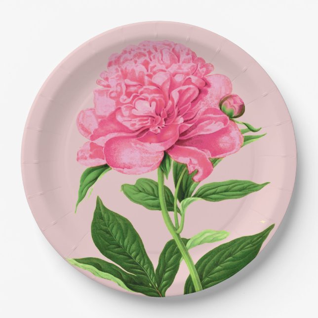 Vintage botanische Schrift, Pastellrosa Pappteller (Vorderseite)