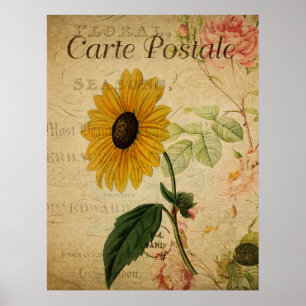 Vintage botanische Sonnenblume Postkarte Poster