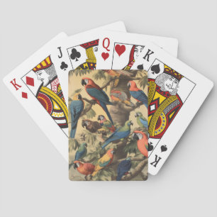 Vintage botanische Szene bunte Papageien in einem  Spielkarten