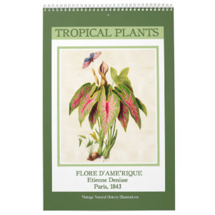 Vintage Botanische Tropenpflanzen 2027 Kalender