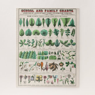 Vintage botanische Übersicht: Blätter und Blume Puzzle