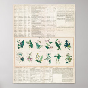 Vintage botanische Übersicht Poster