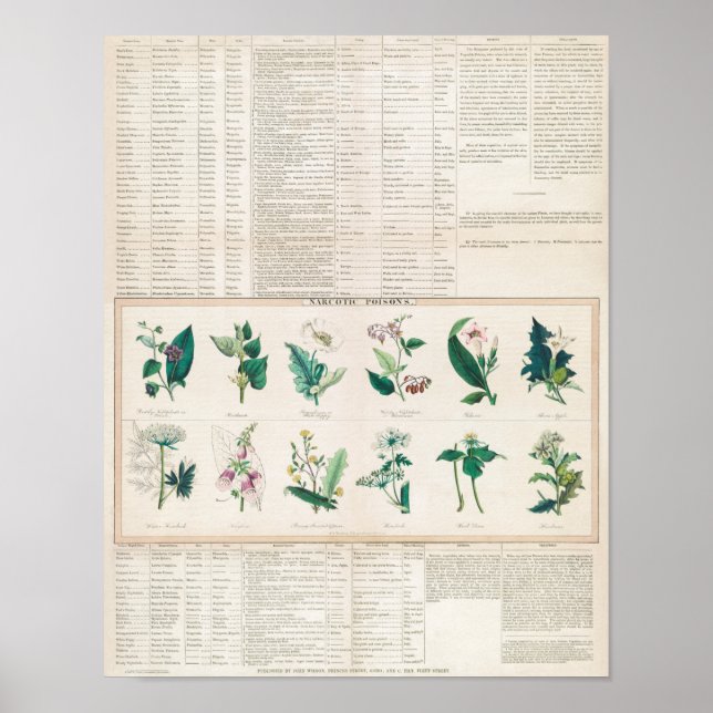 Vintage botanische Übersicht Poster (Vorne)