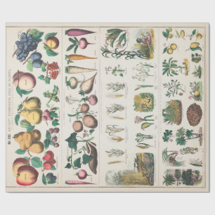 Vintage botanische Übersicht: Wirtschaftliche Nutz Geschenkpapier