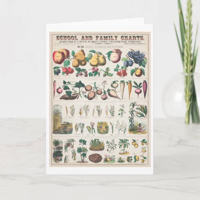 Vintage botanische Übersicht: Wirtschaftliche Nutz Karte (Vorderseite)