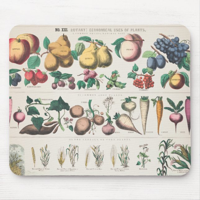 Vintage botanische Übersicht: Wirtschaftliche Nutz Mousepad (Vorne)