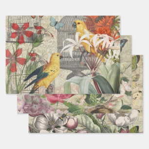 Vintage Botanische Vogel Natur Antiquität Tropisch Geschenkpapier Set