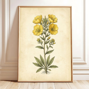 Vintage Botanische Wandkunst Druck Poster