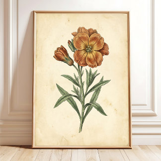 Vintage Botanische Wandkunst Leinwanddruck Poster